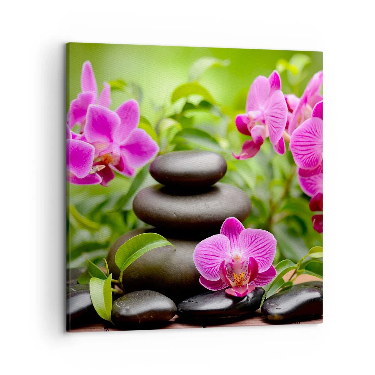Cuadro sobre lienzo - Impresión de Imagen - Una pirámide de paz - 50x50 cm