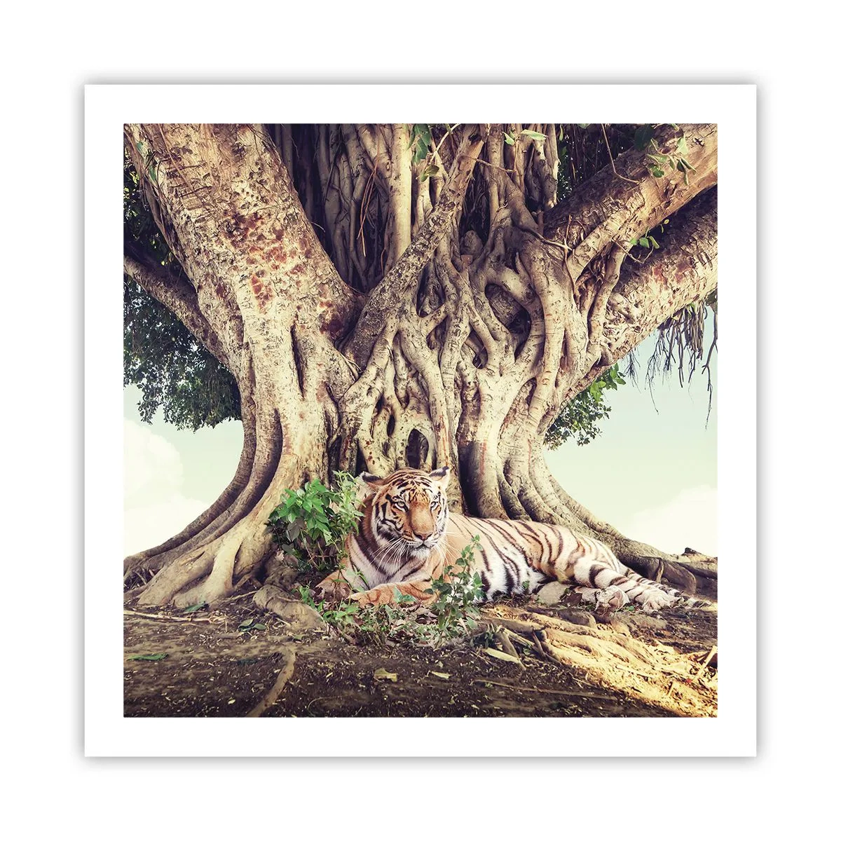 Póster - Una visión desde el Génesis - 60x60 cm