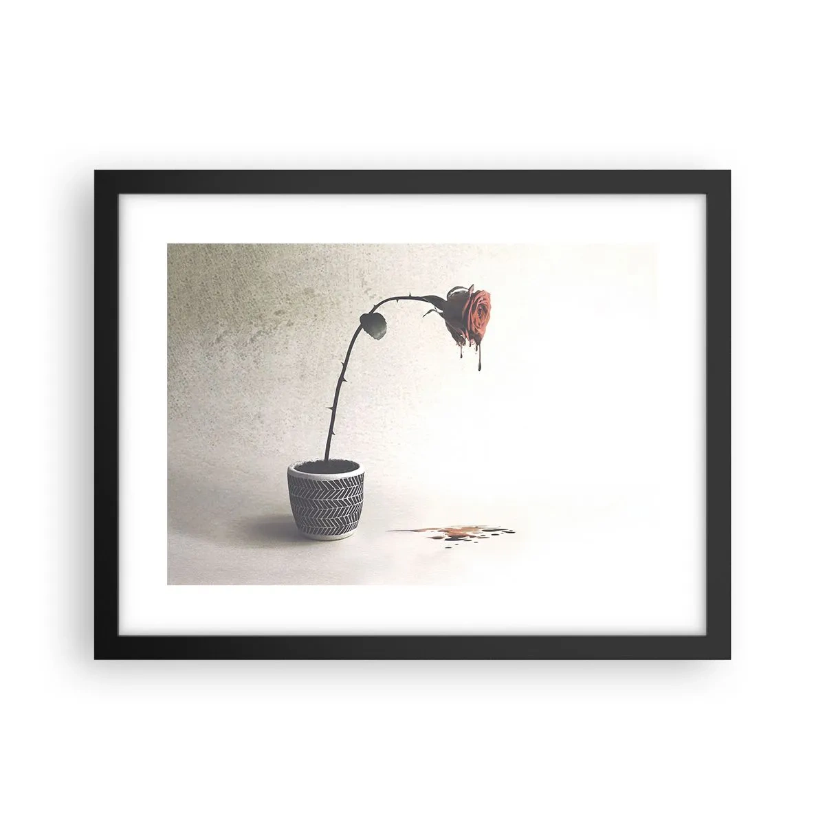 Póster en marco negro - Rosa dolorosa - 40x30 cm