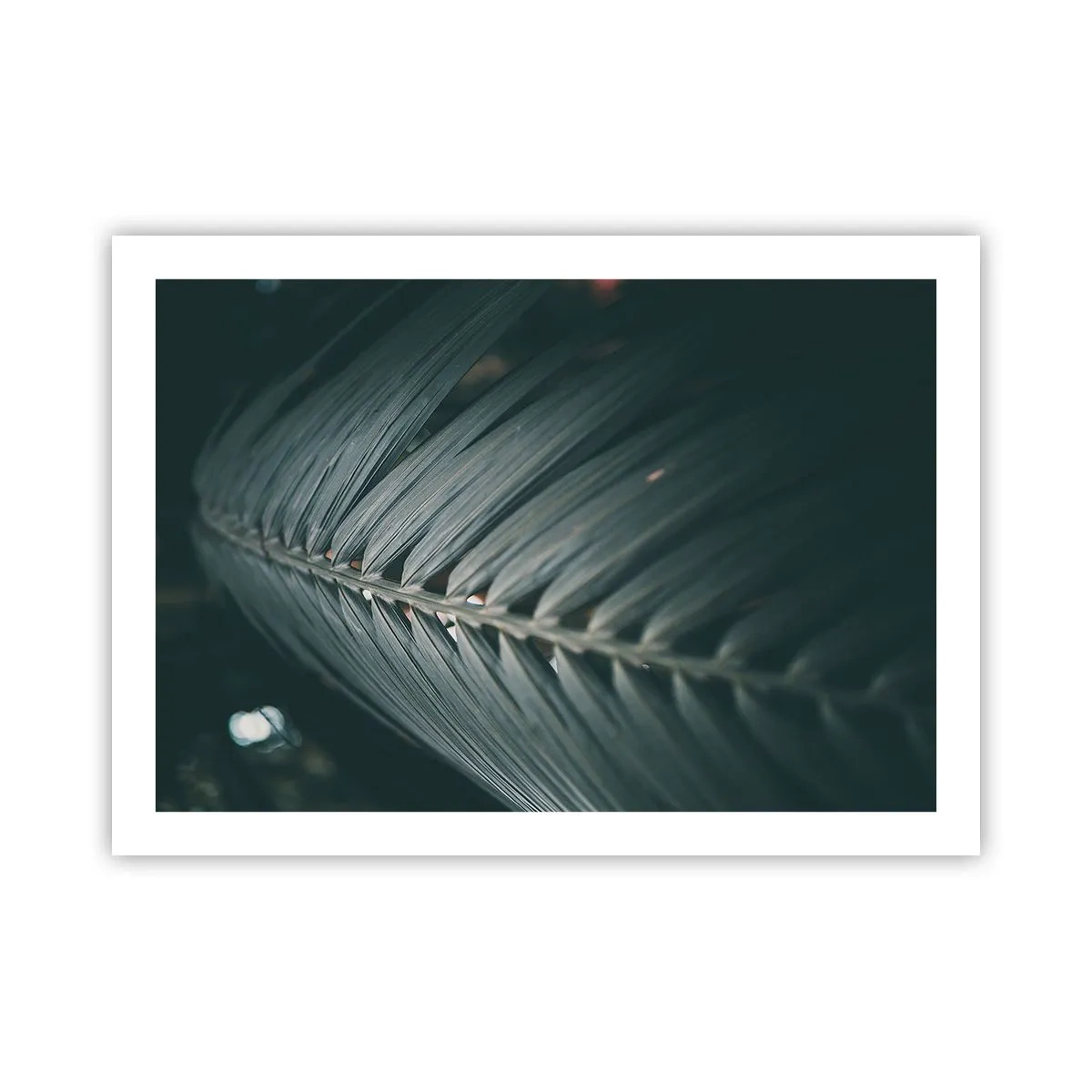 Póster - La precisión de la naturaleza - 70x50 cm