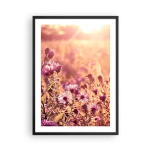 Póster en marco negro - Un campo de flores violetas a la luz del sol poniente. - 50x70cm - Antes de que se acabe el verano - Decoración de pared moderna para salón y dormitorio ARTTOR