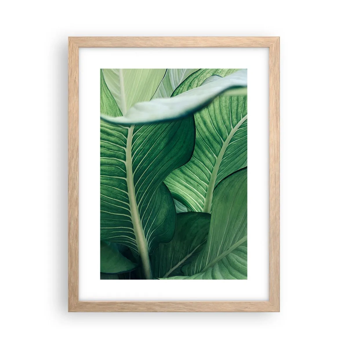 Póster en marco roble claro - Vida intensamente verde - 30x40 cm