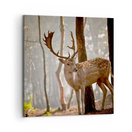 Cuadro sobre lienzo - Impresión de Imagen - La luz de la juventud - 50x50 cm