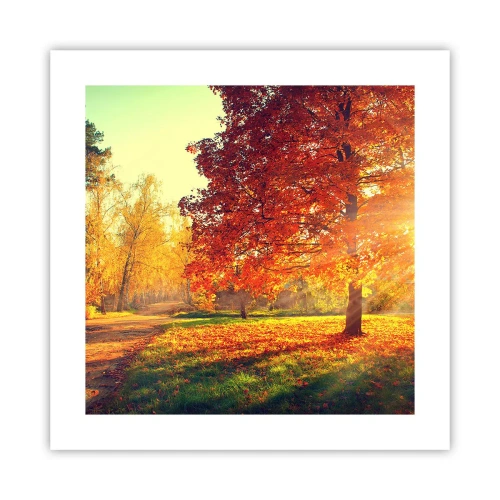 Póster - El rojo es hermoso - 40x40 cm