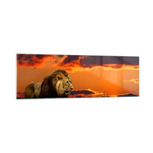 Cuadro sobre vidrio - Impresiones sobre Vidrio - Un león descansa junto al agua al atardecer con un cielo dramático. - 160x50cm - Rey de la naturaleza - Decoración de pared moderna para salón y dormitorio ARTTOR