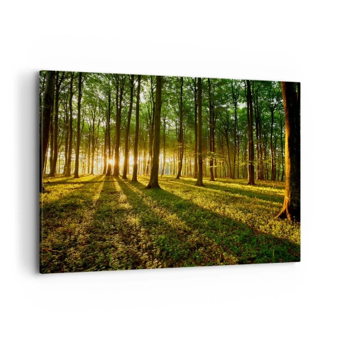 Cuadro sobre lienzo - Impresión de Imagen - El sol poniente en el bosque caducifolio - 100x70cm - Una fotografía de todos los manantiales - Decoración de pared moderna para salón y dormitorio ARTTOR