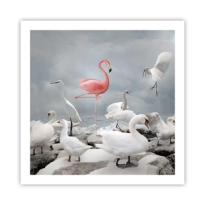 Póster - ¿De dónde vengo? - 60x60 cm