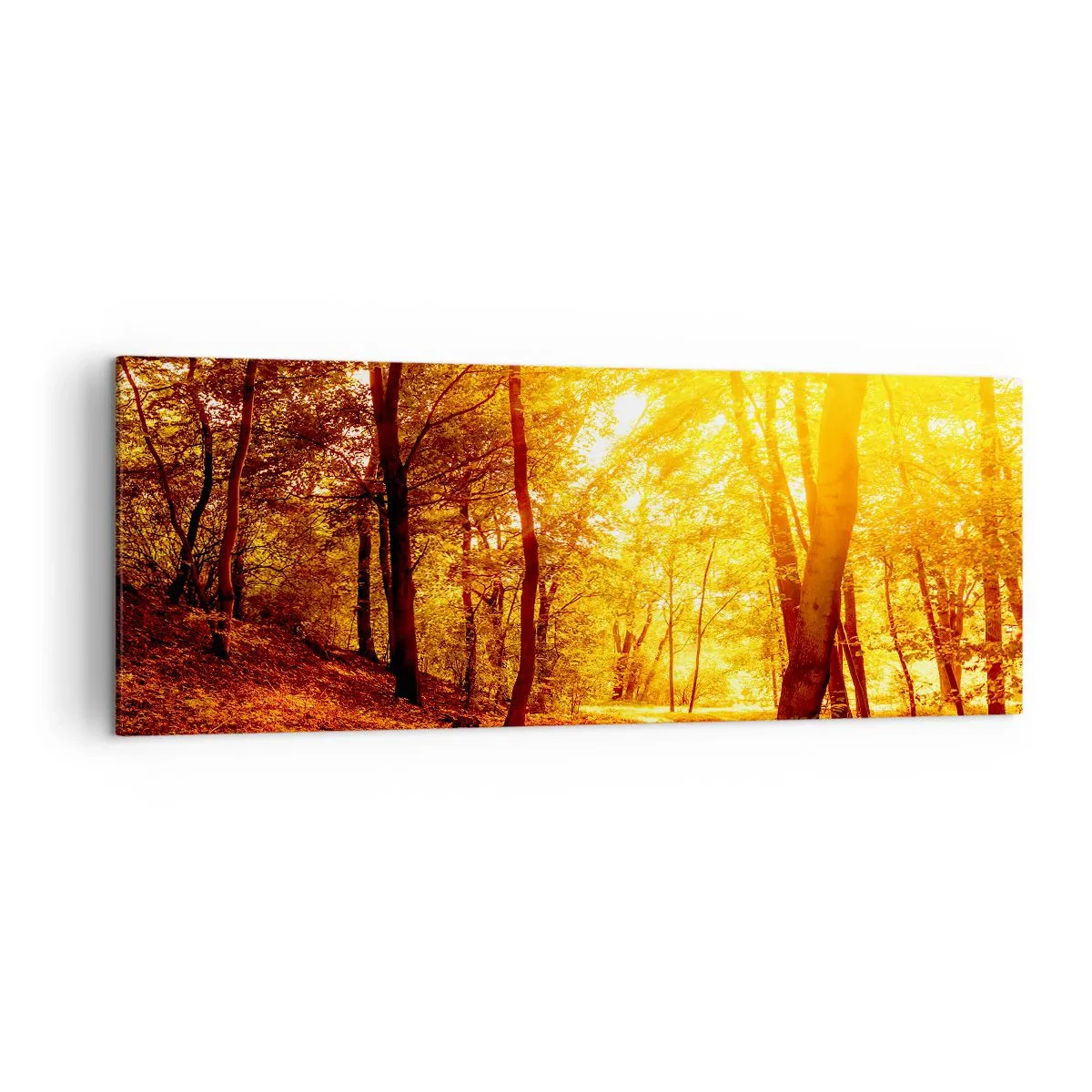 Cuadro sobre lienzo - Impresión de Imagen - Claro de otoño bajo la luz dorada del sol con un sendero forestal - 140x50cm - Hacia un claro de oro - Decoración de pared moderna para salón y dormitorio ARTTOR