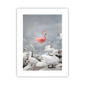 Póster - ¿De dónde vengo? - 30x40 cm