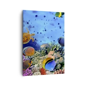 Cuadro sobre lienzo - Impresión de Imagen - Arrecife de coral con peces de colores y una tortuga marina. - 50x70cm - Y qué sabemos de la vida... - Decoración de pared moderna para salón y dormitorio ARTTOR