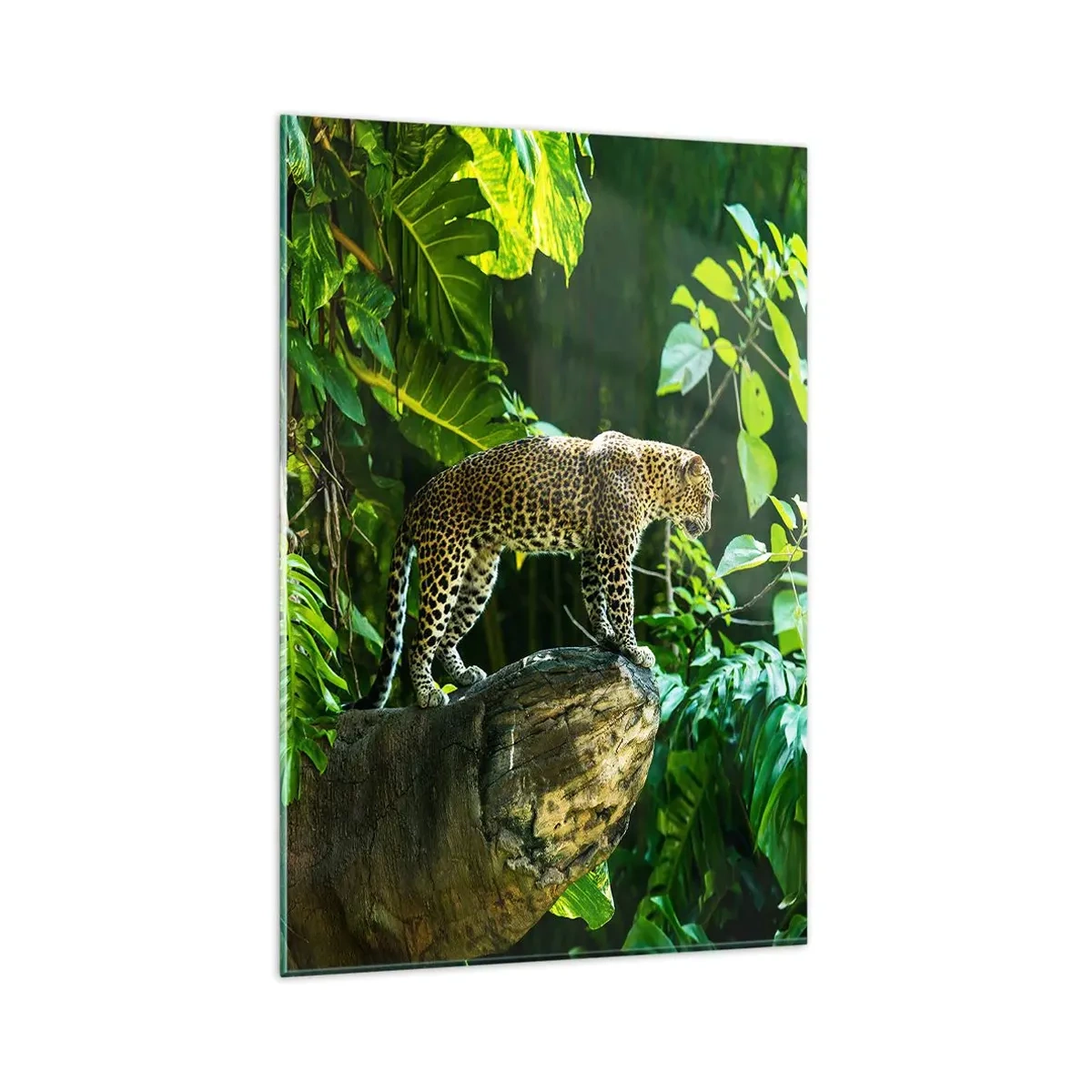 Cuadro sobre vidrio - Impresiones sobre Vidrio - Un leopardo de pie sobre una roca rodeado de vegetación tropical. - 80x120cm - ¿A la caza? - Decoración de pared moderna para salón y dormitorio ARTTOR