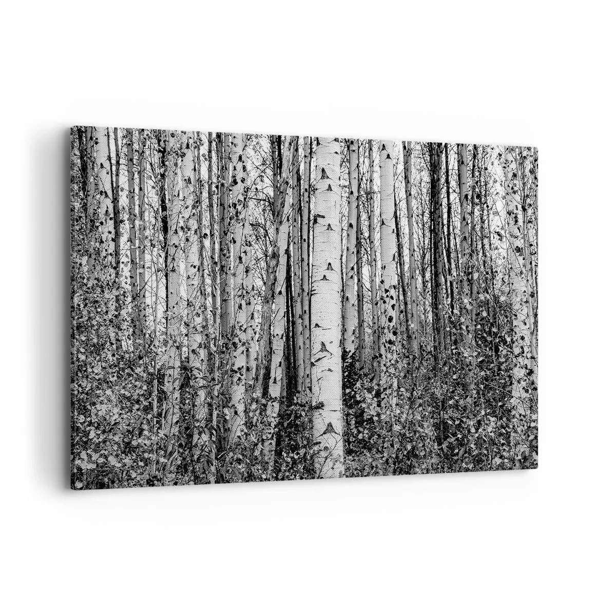 Cuadro sobre lienzo - Impresión de Imagen - Abedules blancos y negros en el bosque - 120x80cm - Columnas de abedules - Decoración de pared moderna para salón y dormitorio ARTTOR