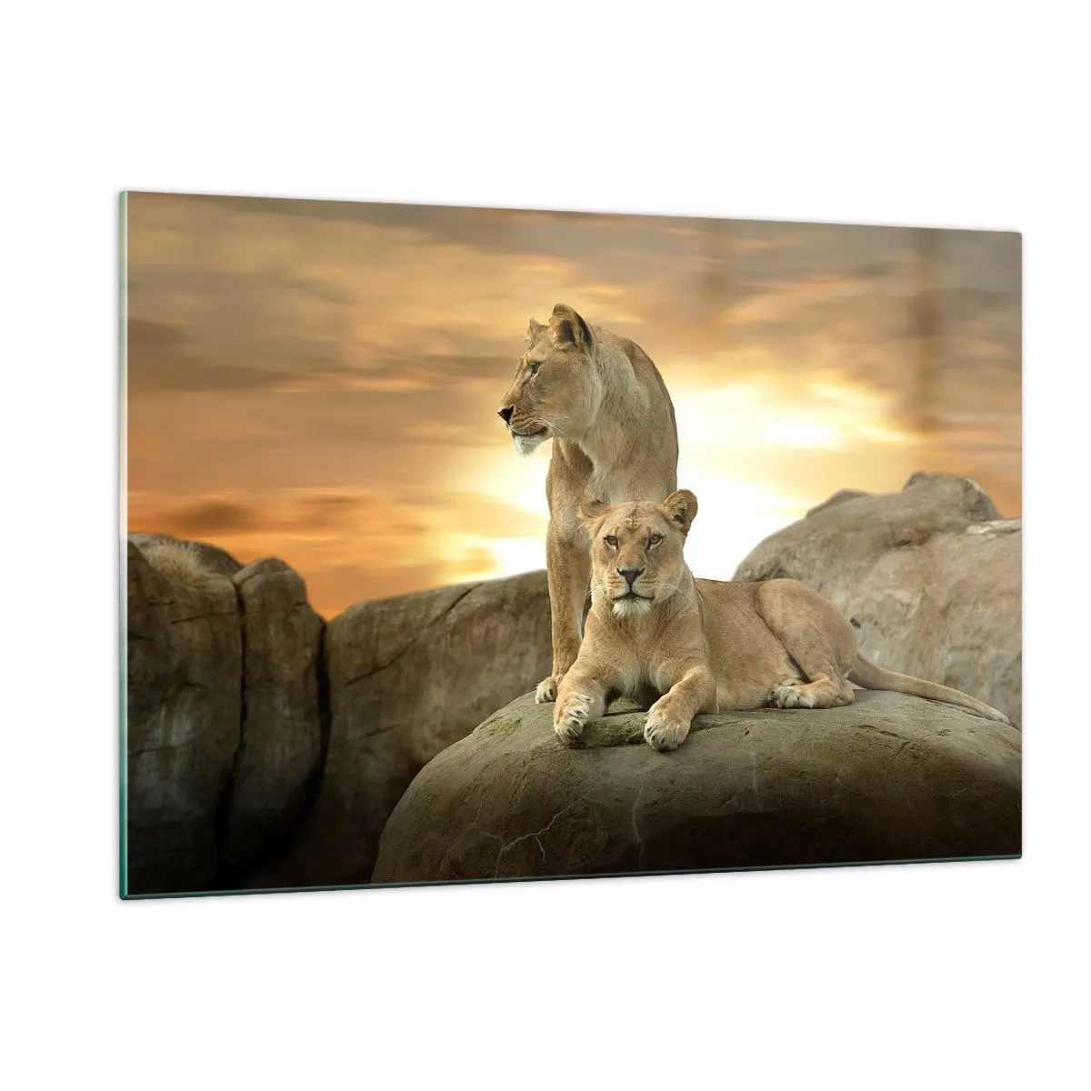 Cuadro sobre vidrio - Impresiones sobre Vidrio - Majestad Real - 120x80cm - Majestuosidad real - Decoración de pared moderna para salón y dormitorio ARTTOR