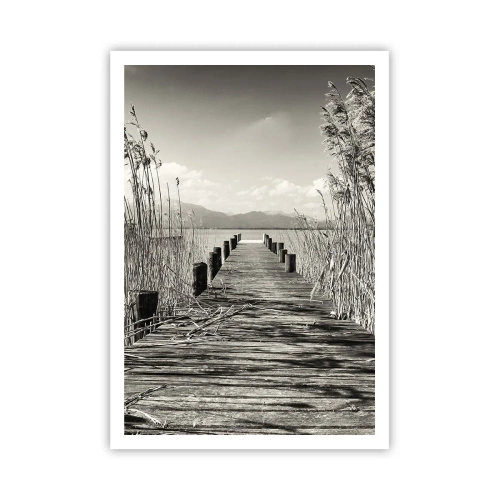 Póster - En la quietud de los juncos - 70x100 cm