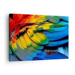Cuadro sobre lienzo - Impresión de Imagen - Un primer plano de las coloridas plumas de un loro. - 70x50cm - Ave del paraíso - Decoración de pared moderna para salón y dormitorio ARTTOR
