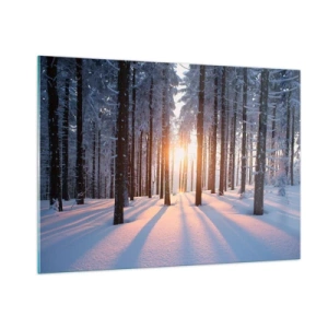 Cuadro sobre vidrio - Impresiones sobre Vidrio - Bosque invernal con rayos de sol brillando a través de los árboles. - 100x70cm - Claramente en blanco y negro - Decoración de pared moderna para salón y dormitorio ARTTOR