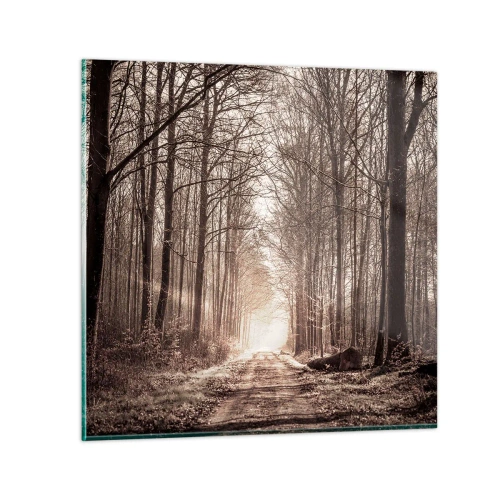 Cuadro sobre vidrio - Impresiones sobre Vidrio - La catedral del bosque - 50x50 cm