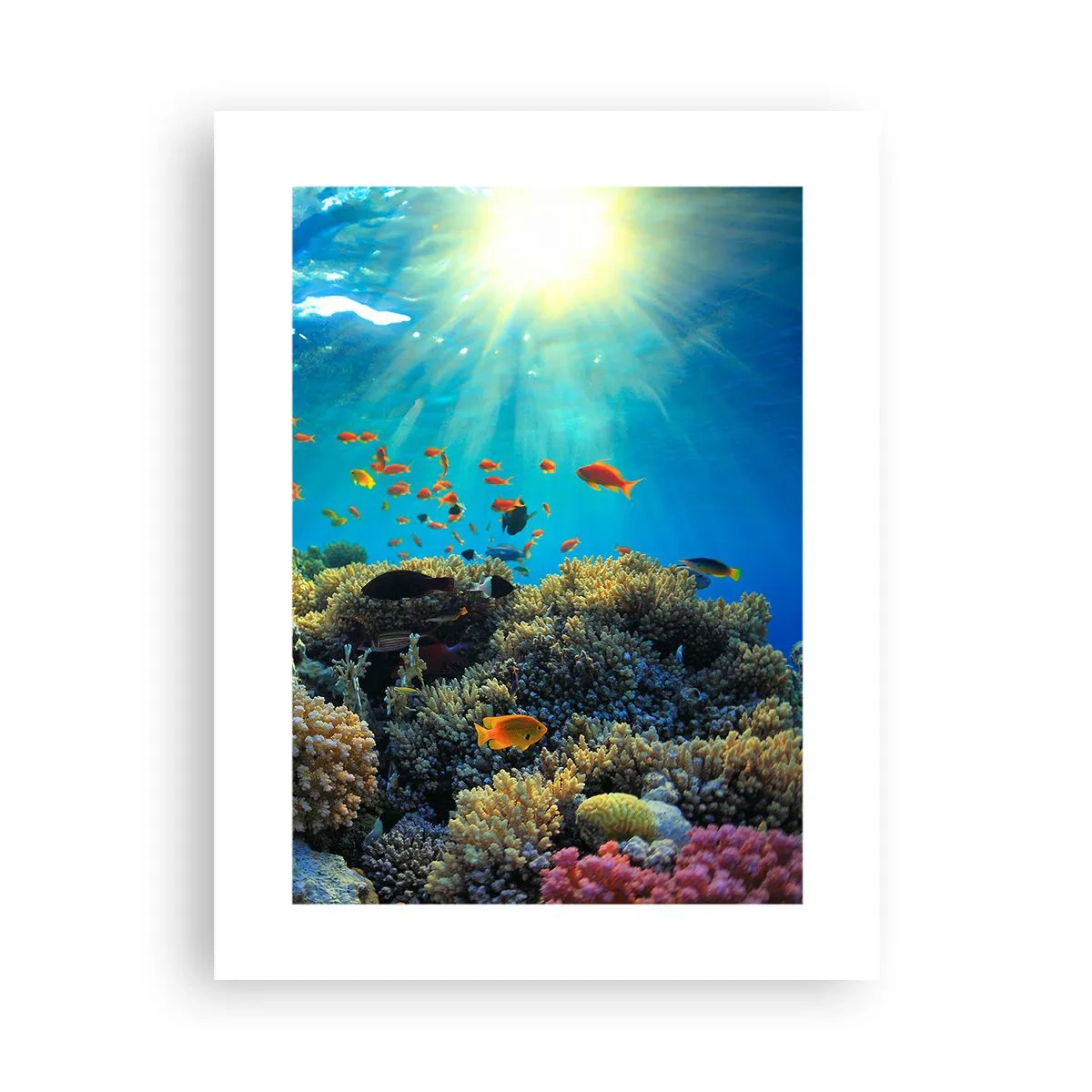 Póster - Tesoros submarinos - 30x40 cm