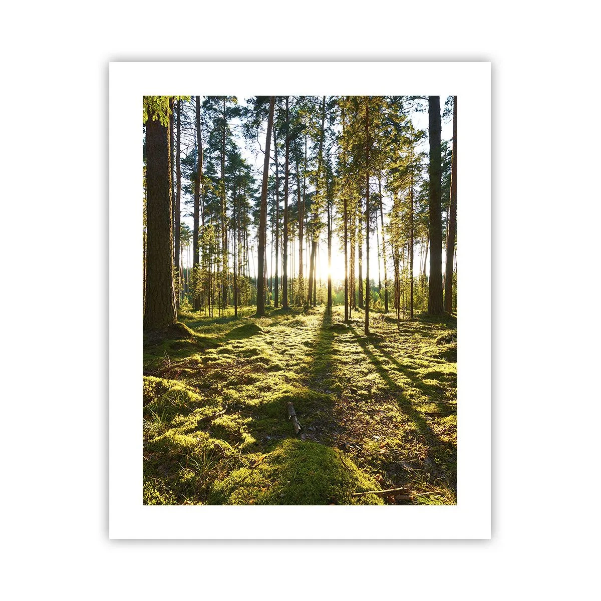 Póster - ...Más allá de los siete bosques - 40x50 cm