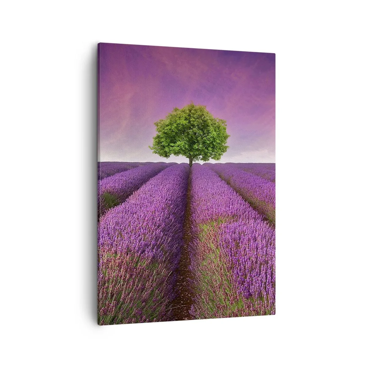 Cuadro sobre lienzo - Impresión de Imagen - Un campo de lavanda con un árbol solitario y un cielo púrpura. - 50x70cm - En los campos de lavanda - Decoración de pared moderna para salón y dormitorio ARTTOR