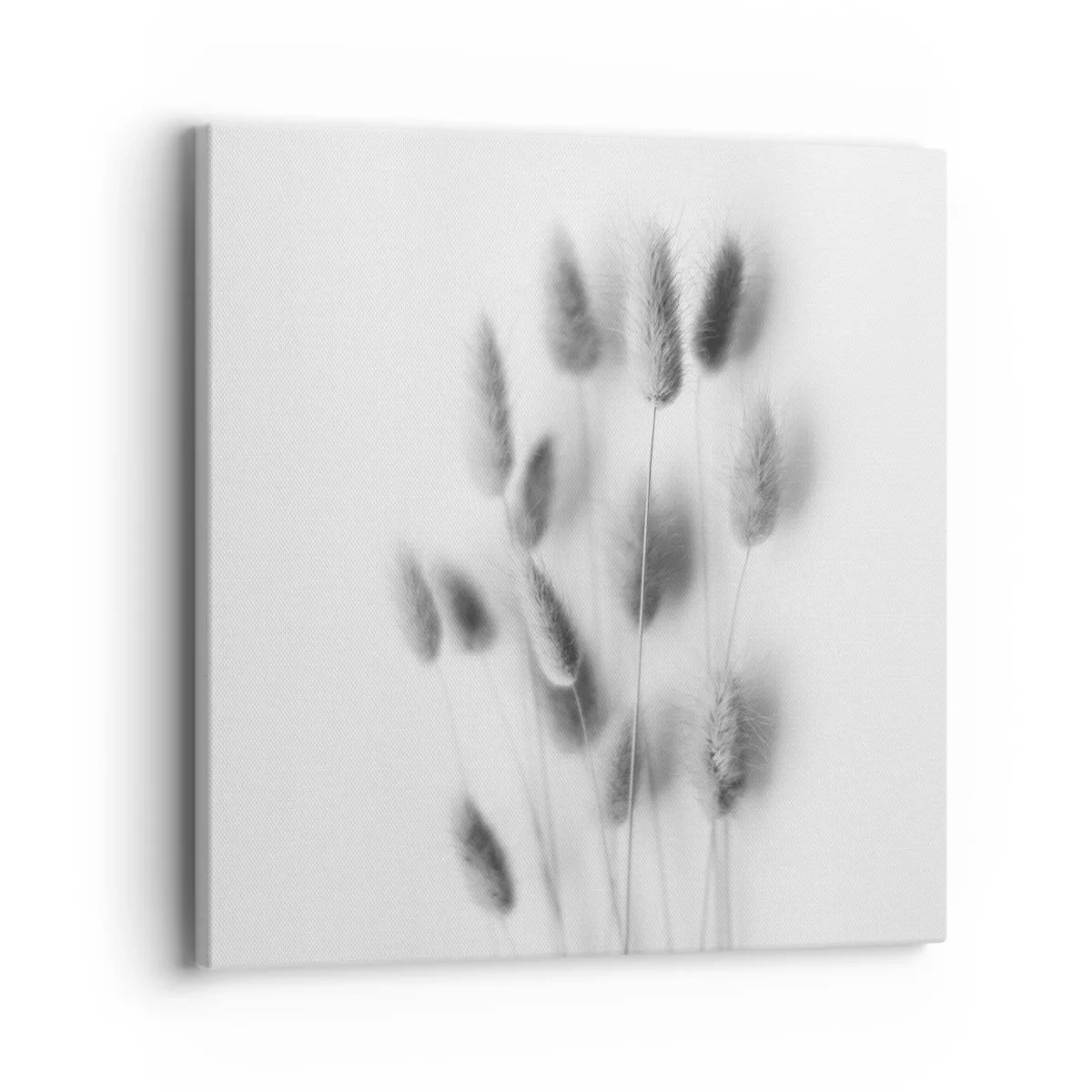 Cuadro sobre lienzo - Impresión de Imagen - Esponjas naturales - 40x40 cm