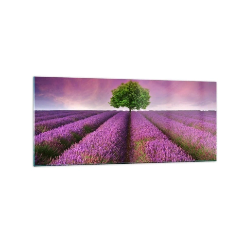 Cuadro sobre vidrio - Impresiones sobre Vidrio - Un campo de lavanda con un árbol solitario y un cielo púrpura. - 120x50cm - En los campos de lavanda - Decoración de pared moderna para salón y dormitorio ARTTOR