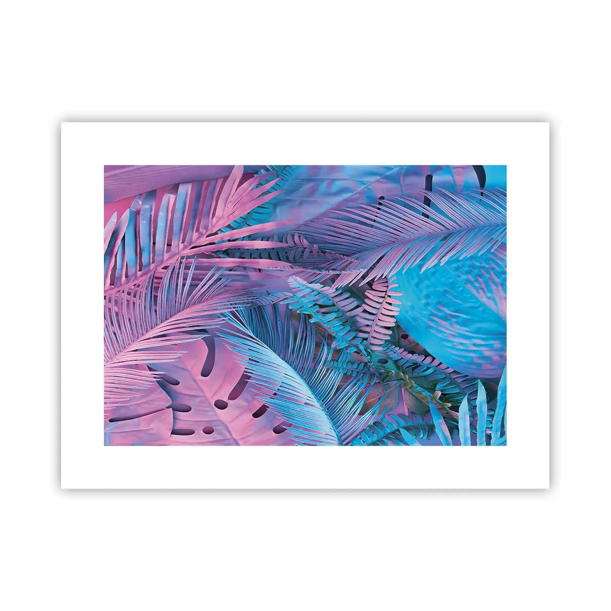 Póster - Trópicos en rosa y azul - 40x30 cm