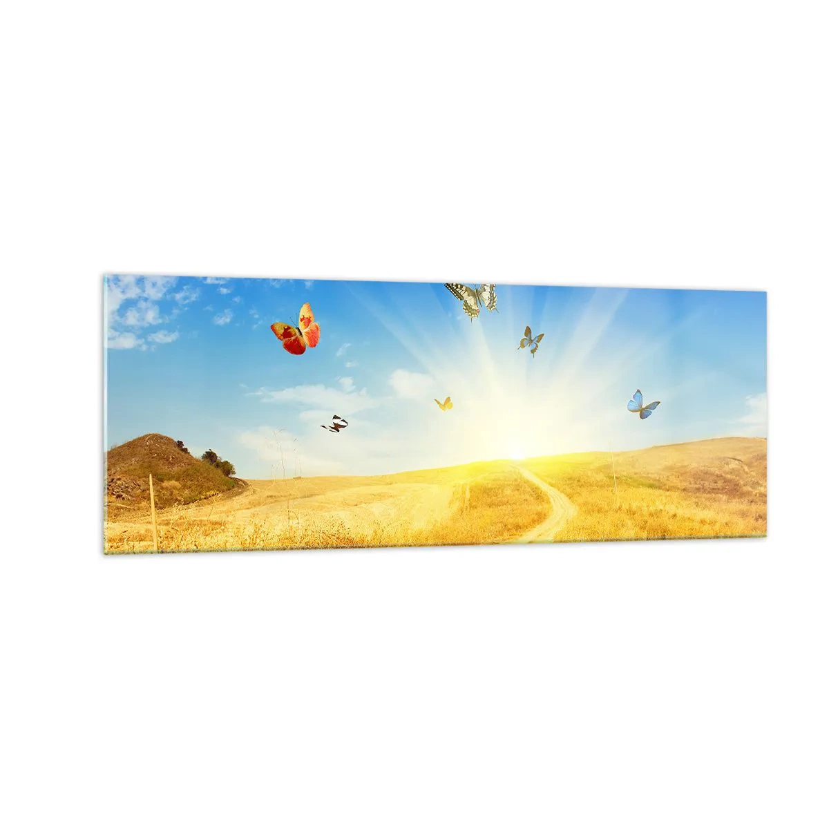 Cuadro sobre vidrio - Impresiones sobre Vidrio - Un campo dorado, un camino y mariposas contra un cielo azul. - 140x50cm - ¿Cómo no amar el verano? - Decoración de pared moderna para salón y dormitorio ARTTOR