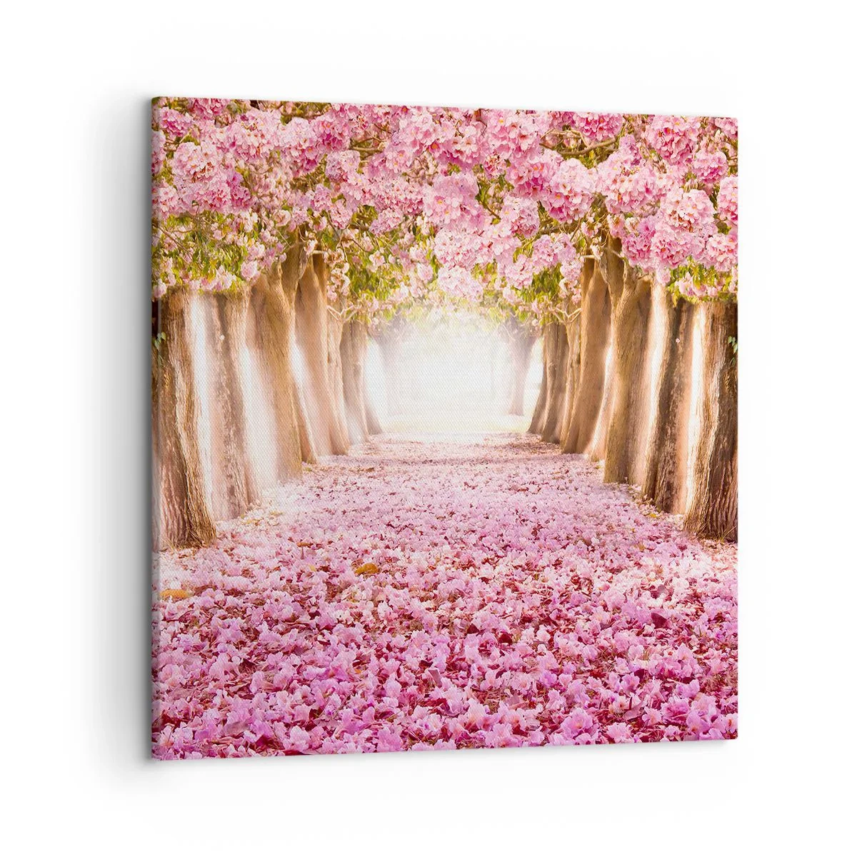 Cuadro sobre lienzo - Impresión de Imagen - El camino al paraíso - 50x50 cm