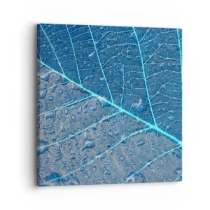 Cuadro sobre lienzo - Impresión de Imagen - Vida en el azul - 30x30 cm