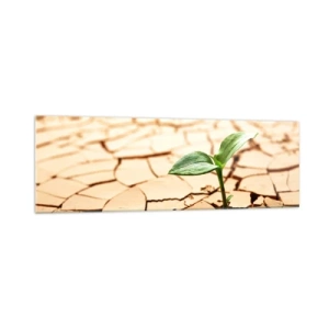 Cuadro sobre vidrio - Impresiones sobre Vidrio - Una planta verde que crece en tierra seca y agrietada. - 160x50cm - El poder indomable de la vida - Decoración de pared moderna para salón y dormitorio ARTTOR