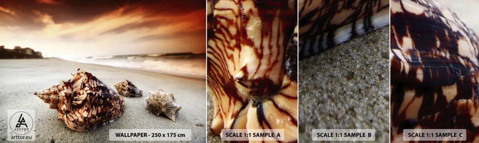 Muestra de fotomural autoadhesivo Deluxe Sticker - Los exiliados de las olas - Paisaje, Mar, Concha - 100x30 cm
