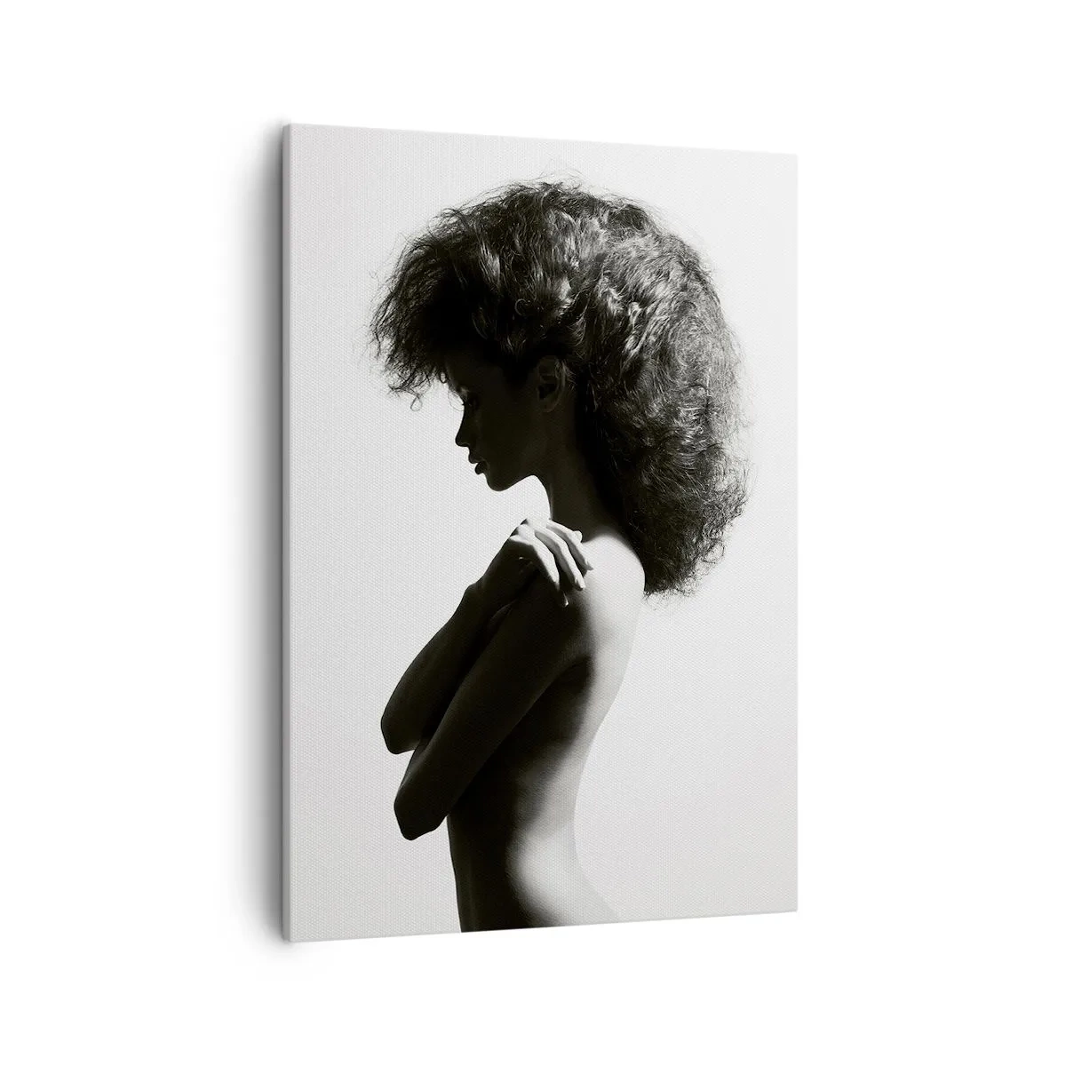 Cuadro sobre lienzo - Impresión de Imagen - Una silueta sutil de una mujer en tonos blanco y negro sobre un fondo claro. - 50x70cm - Como una flor en un tallo delgado - Decoración de pared moderna para salón y dormitorio ARTTOR