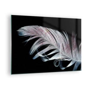 Cuadro sobre vidrio - Impresiones sobre Vidrio - Una delicada pluma sobre un fondo negro en un enfoque artístico. - 70x50cm - Piensa en el tacto - Decoración de pared moderna para salón y dormitorio ARTTOR