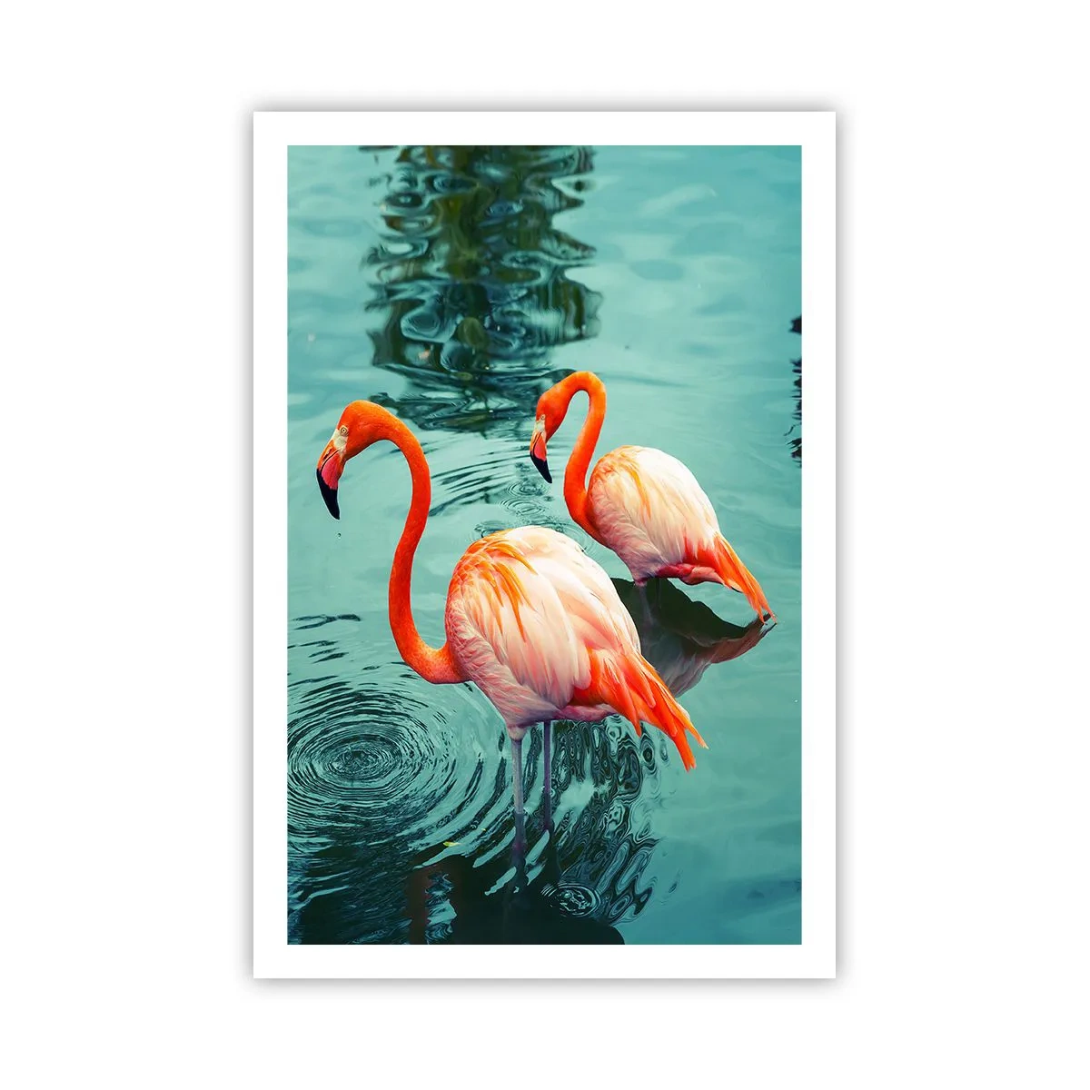 Póster - Estamos de moda - 61x91 cm