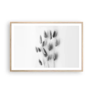 Póster en marco roble claro - Esponjas naturales - 91x61 cm