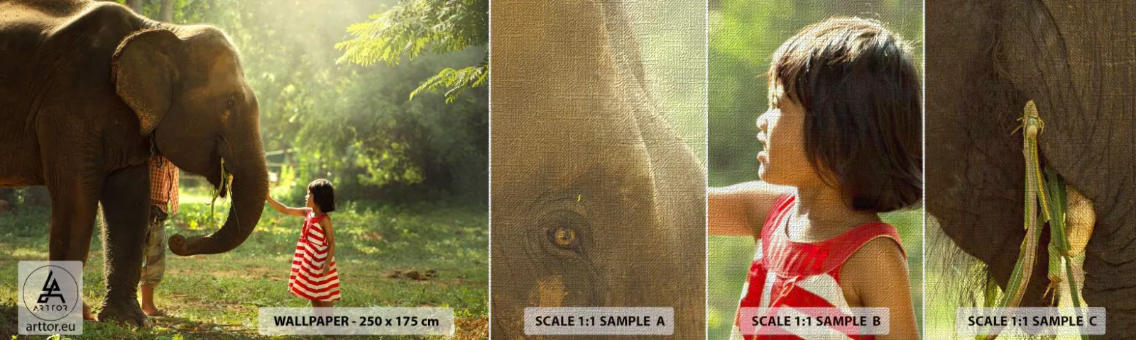 Muestra de fotomural Premium Canvas - El poder de la amistad - animales, Elefante, Chica - 100x30 cm