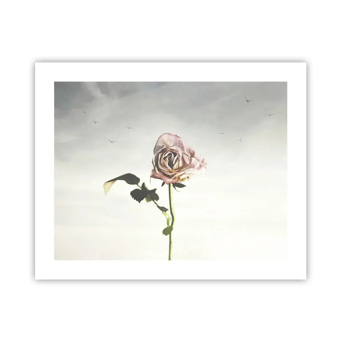 Póster - Bienvenida a la primavera - 50x40 cm