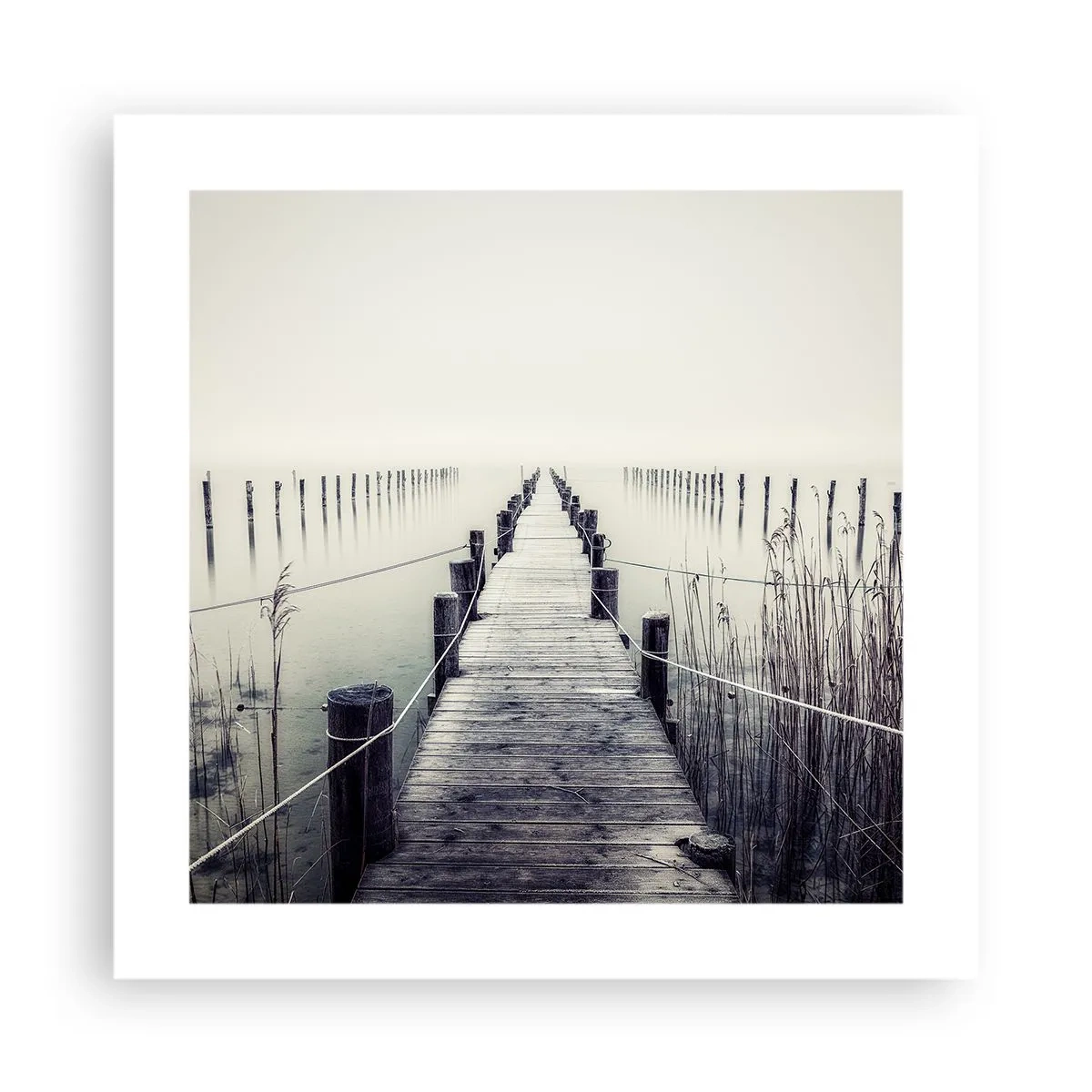 Póster - Sumergirse en la paz - 40x40 cm