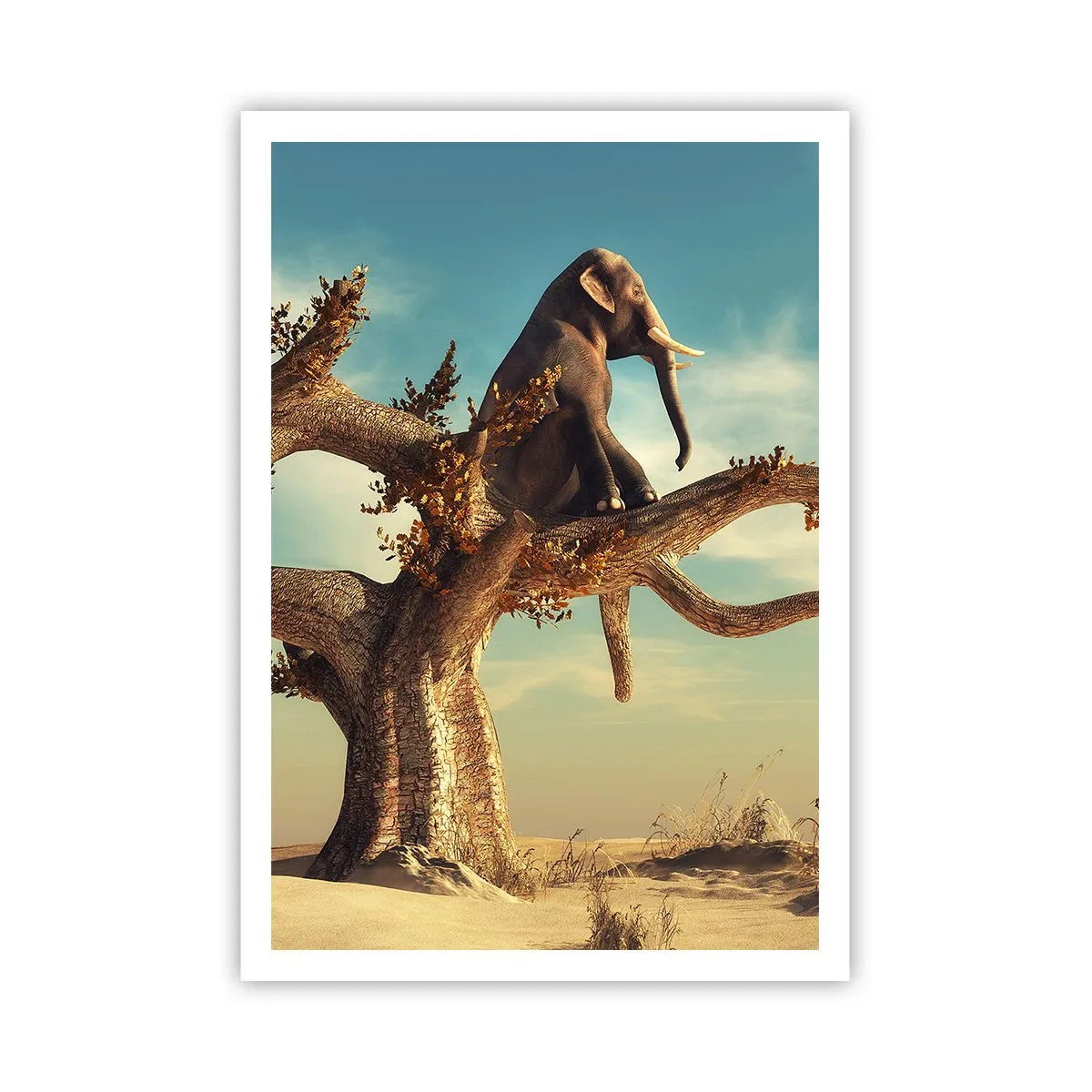 Póster - Un nuevo punto de vista - 70x100 cm