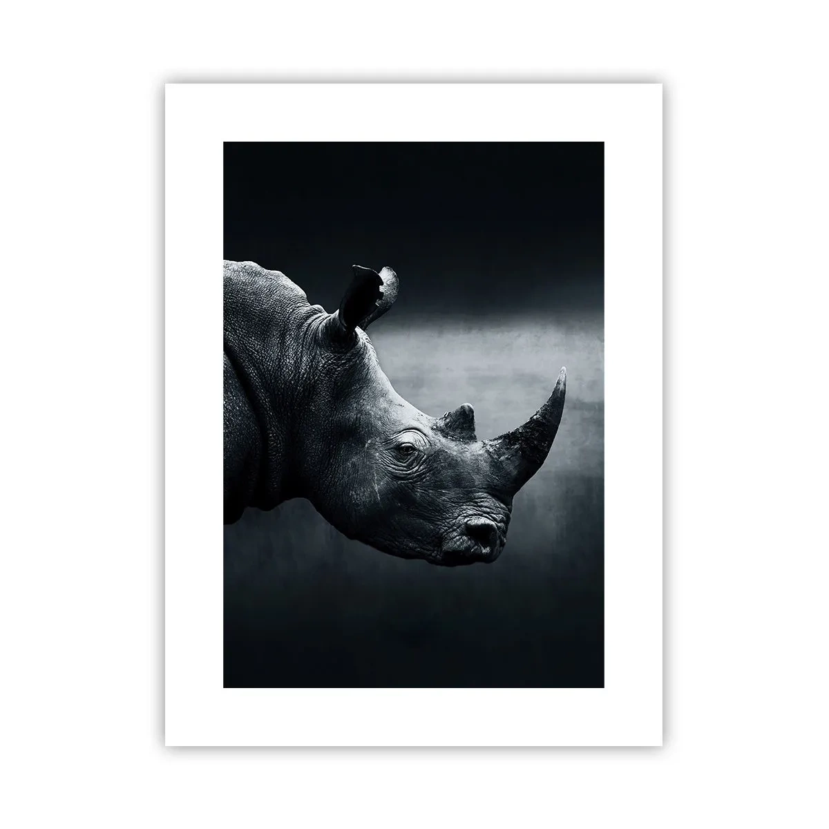Póster - Perfil derecho - 30x40 cm