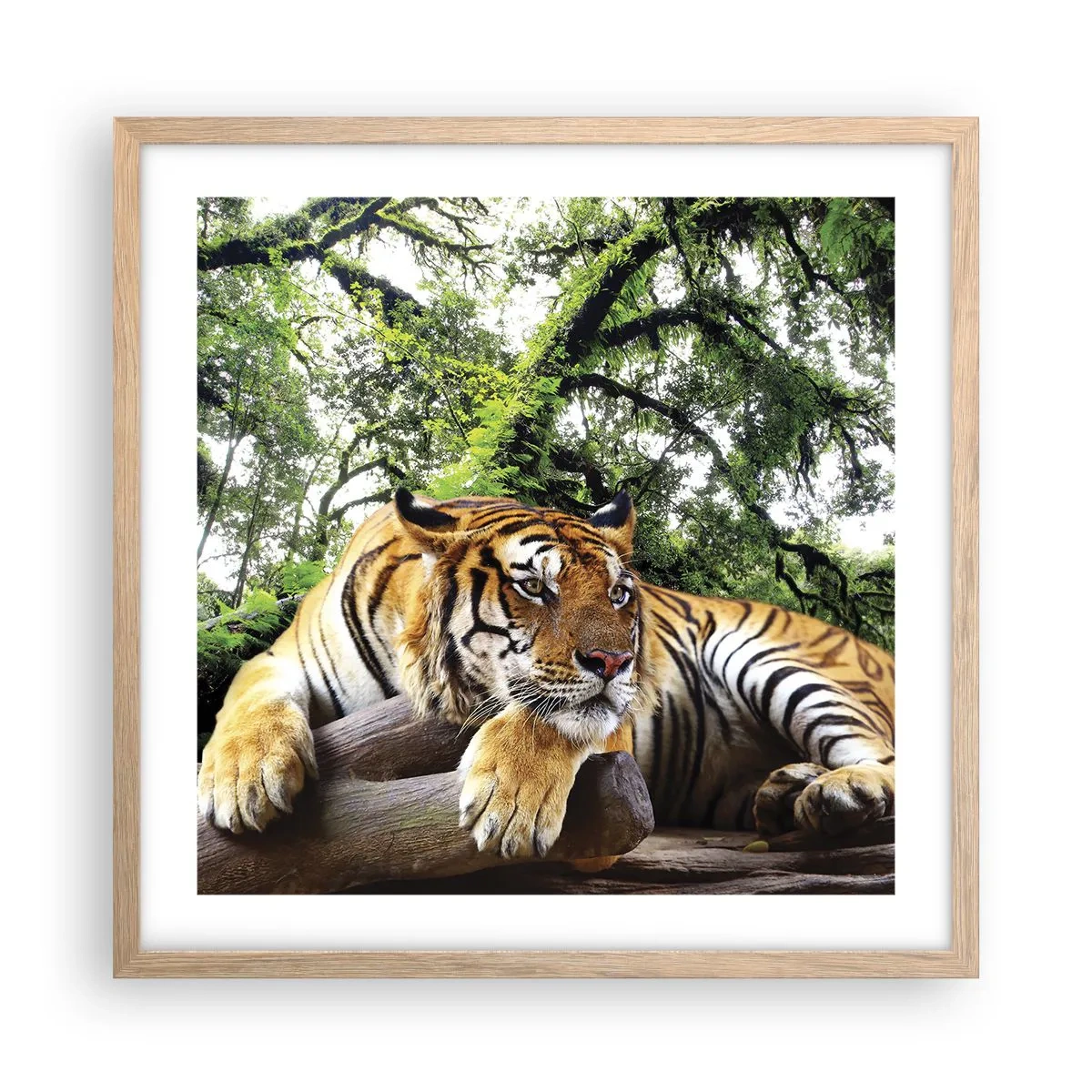 Póster en marco roble claro - Atentamente - 50x50 cm