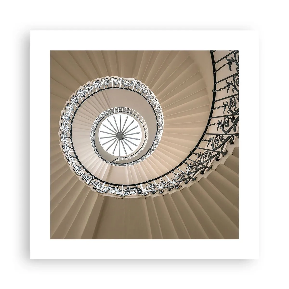 Póster - En el interior de una concha - 40x40 cm