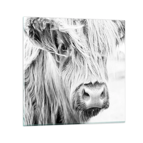 Cuadro sobre vidrio - Impresiones sobre Vidrio - La naturaleza escocesa - 50x50 cm