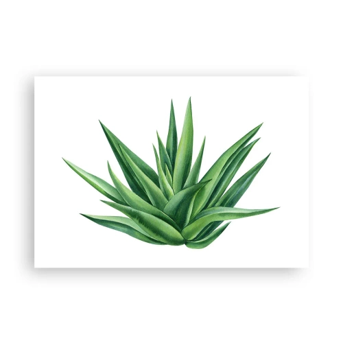 Póster - Una planta verde jugosa sobre un fondo blanco. - 100x70cm - Verde - fuerza - vida - Decoración de pared moderna para salón y dormitorio ARTTOR
