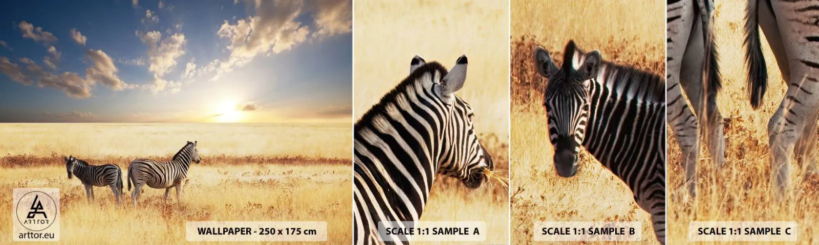 Muestra de fotomural autoadhesivo Deluxe Sticker - Vete, no perturbes la paz - animales, costillas, Safari - 100x30 cm