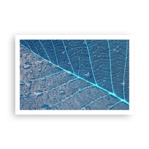 Póster - Vida en el azul - 91x61 cm