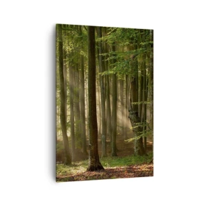 Cuadro sobre lienzo - Impresión de Imagen - Los rayos del sol penetran a través de los árboles en el bosque. - 70x100cm - Radiante en una mañana de primavera - Decoración de pared moderna para salón y dormitorio ARTTOR