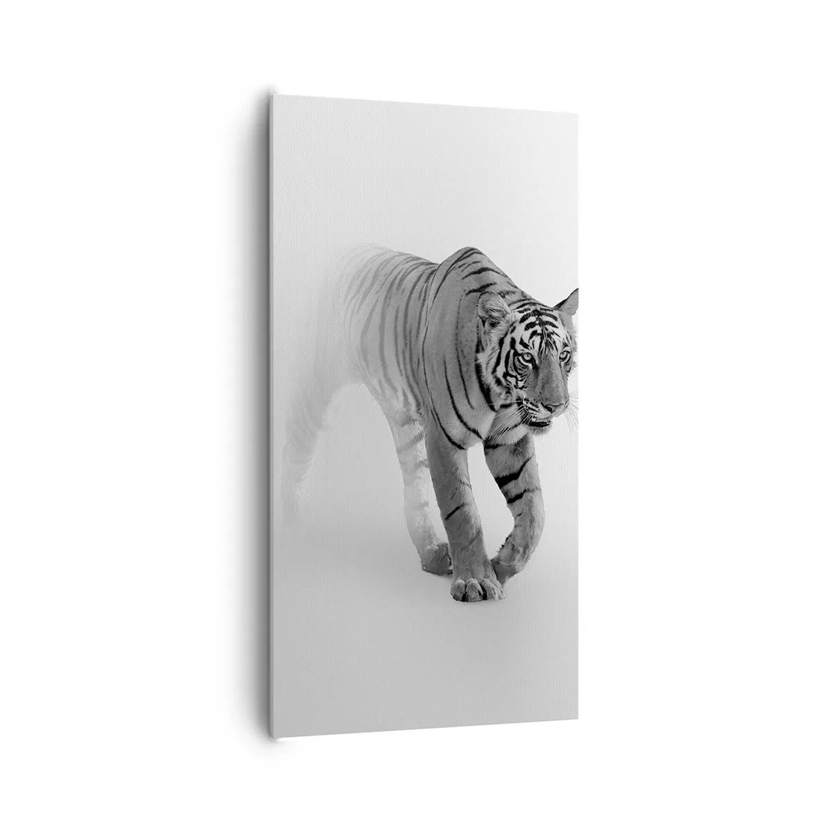 Cuadro sobre lienzo - Impresión de Imagen - Siempre alerta entre la niebla - 65x120 cm