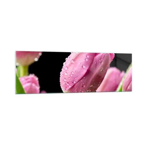 Cuadro sobre vidrio - Impresiones sobre Vidrio - Tulipán rosa con gotas de agua sobre fondo negro - 160x50cm - Un sueño de lilas en el rocío - Decoración de pared moderna para salón y dormitorio ARTTOR